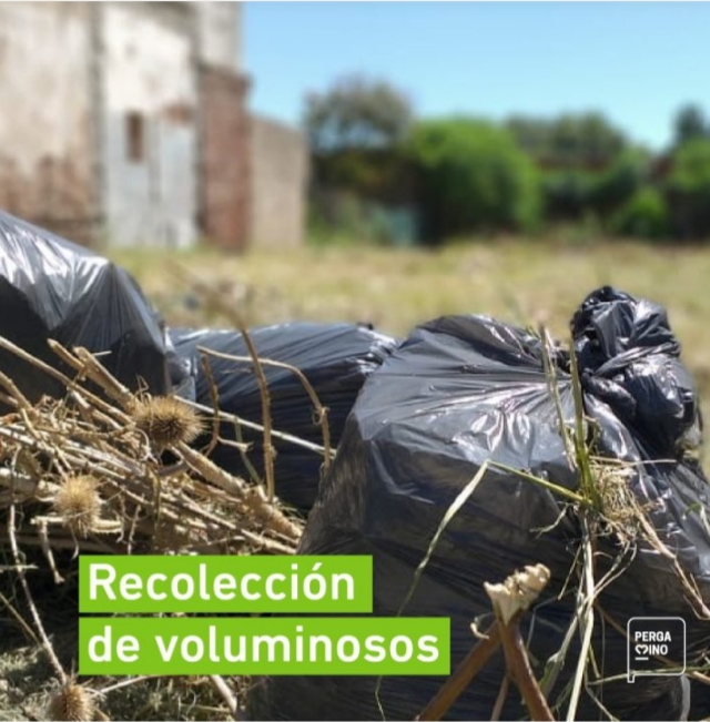 Cronograma de recolección de Residuos Voluminosos para el mes de enero 