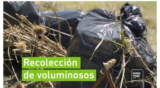 Comenzó la recolección de voluminosos del mes de febrero