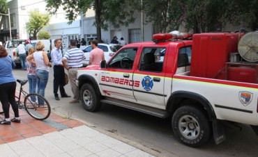 Sacaron 126 perros de un domicilio