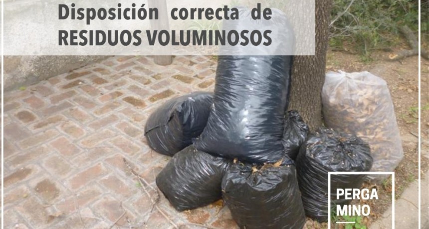 Servicio de recolección de Ramas, Escombros y Residuos Voluminosos 