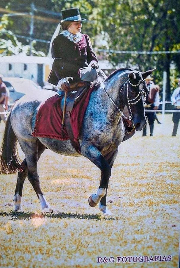 La orfebrería pergaminense estará presente en la Exposición Rural de Palermo