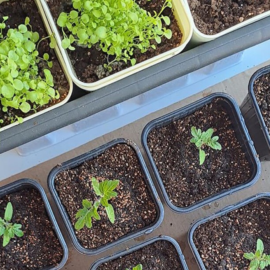 Intercambio sustentable en el Parque Espa&ntilde;a en el Mes del Compostaje