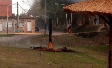 Vandalismo en el Parque Municipal