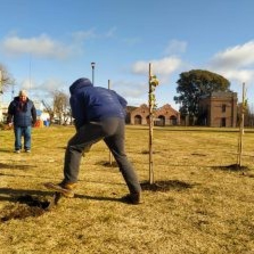 Pergamino luce más de 80 árboles nuevos