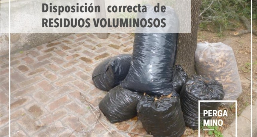 Servicio de recolección de ramas, escombros y residuos voluminosos 