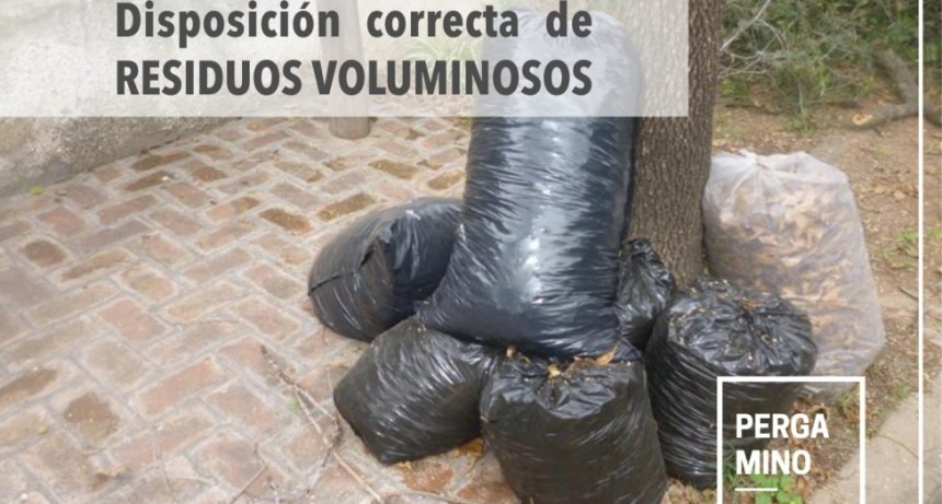 Servicio de recolección de ramas, escombros y residuos voluminosos para el mes de agosto
