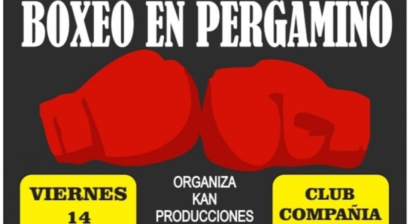El 14 de octubre se llevará a cabo un nuevo festival de boxeo amateur