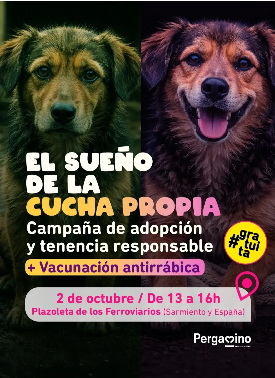 El sue&ntilde;o de la cucha propia: Pergamino impulsa una jornada gratuita de adopci&oacute;n y vacunaci&oacute;n antirr&aacute;bica