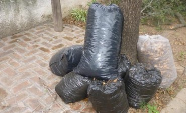 El viernes 1 de enero no habrá recolección de residuos