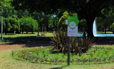 Pergamino cuenta con su punto digital
